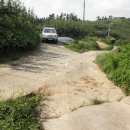 봉재농장 이미지