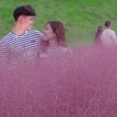 뮬리Muhly