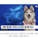 후쿠시마 오염수 영상 삭제 논란에 SBS "민감한 아이템" 해명 이미지