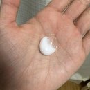 컬링 에센스 고민 중이라면? 돌앤메디 돌 프로페셔널 컬링 에센스 160ml 솔직 후기!
