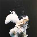 제나할러웨이 워터베이비전 이미지