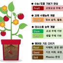쌍용관 이미지