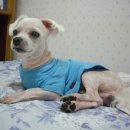 석수초등학교_동 이미지