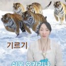 초보 오카리나 이미지