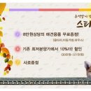 스타일독 이미지