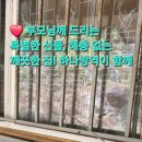 효도방역