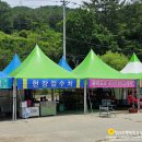 인제 내린천 래프팅 신났던 후기