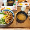 세종 애견동반 식당 자유의언덕 어진동 맛집으로 최고