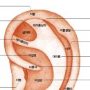 셀비오 - 강서구 | 셀비오