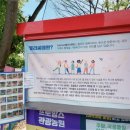 펠리시떼 이미지