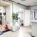 분당-158 이미지