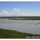 바얀불락 이미지