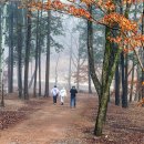 산사가는길 이미지