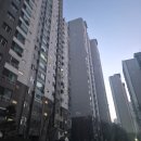 이문76 | 서울 아파트 집값 왜 이래? 90년대생이 본 불장, 마용성부터 한강벨트까지 (feat.멸종위기전세)
