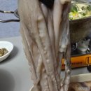 금수강산해물탕 | 해물탕 밀키트, 대구맛집 금수강산해물탕을 집과 캠핑장에서도!