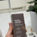 루디아의 작은집 | 루디아 제주 당근 비타민앰플 사용 후기, 잡티 고민에 데일리로 쓰기 좋은 미백앰플