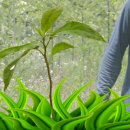 이유농장 이미지