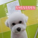 동래종합동물병원 이미지