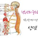 광주참병원 이미지