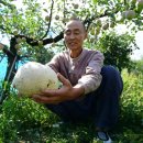 박용주농장 이미지