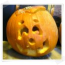 미스펌킨 이미지