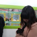 창원강아지분양 고양이분양 도그마루 이미지