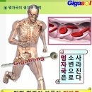 도저히 이해할 수 없는 가벼운 몸~멍은 파괴가 아니라 복구입니다 이미지