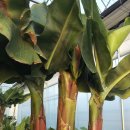 추대농장 이미지