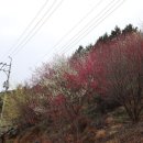 강변마을 앞 이미지