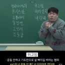 나루텍 | 낮에는 헤일리비버, 밤에는 떵개