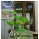 서울SOS지역아동센터 이미지