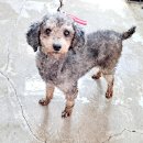 산양중학교 이미지