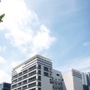 연세나무병원 이미지