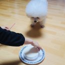 dunkin | 1l 12팩. 던킨. 보스턴 크림 파이. 바바리안 크림. 크래프트 크림 치즈 케익. Kraft. Dunkin. 내돈내산후기