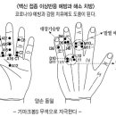 고려수지침학회