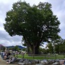 시티원빌딩 이미지