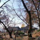 (유)소룡중기자동차 | 고택과 사색단풍길이 있어 가을에 찾기 좋은 노성산