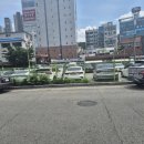 용인 김량장동 맛집 [용인공원동태탕섞어탕 중앙시장점] 맛집후기