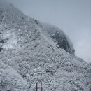 한라산 눈꽃산행 이미지