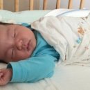 엄조산원 이미지