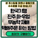 영농조합법인 영산식품 | 한국기행 진주 마·우엉 택배주문 하는 방법 무농약 재배 진주마 건강식품 총정리
