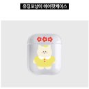 케이스연구소