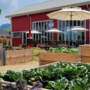 에코팜농장 이미지