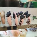 뉴욕동물병원 이미지
