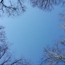 옥천 약수터 이미지