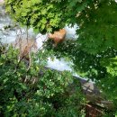 수왕골가든 | 대원사 둘레길 걷기 후 수왕골가든