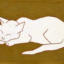 더마음모리 이미지