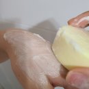 밀감나라