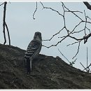 영지농장 이미지