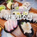 매영로 | 수원 경희대 횟집 영통회수산: 고급일식당 뺨치는 사시미 솔직후기